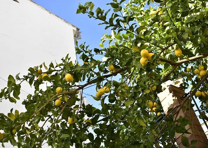 Casa Calma Ronda